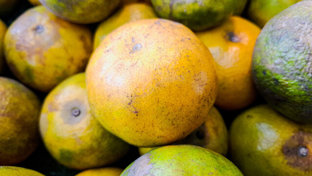 Local lemon fruits from sumatera
