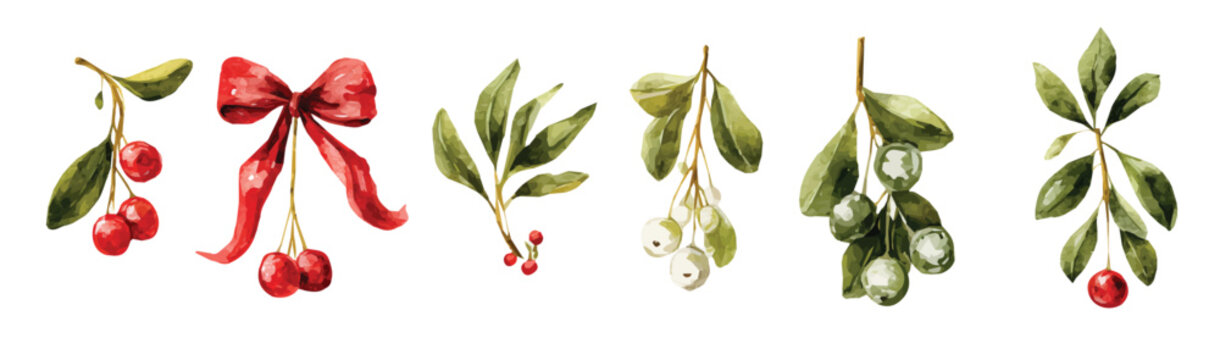 Vector set. Illustration of mistletoe with bow painting design set, Hand-painted style, vectorized, vector set available in EPS, Simple Hand-painted watercolor style
