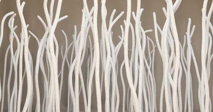3D animation is a macro shot of arranging a structure consisting of many standing white threads or fibers. The frame symbolizes the alignment, straightening of the structure, the order, the technologi