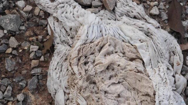 Used diapers discarded on the ground are dirty and constitute waste, posing a health hazard and attracting pests.