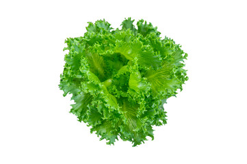 Fototapeta premium Fresh Frillice Iceberg Lettuce Isolated on White Background, Crisp Green Salad Vegetable Cut Out for Menu Design