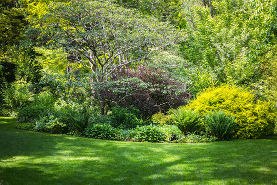 Jardin paysager en &eacute;t&eacute;