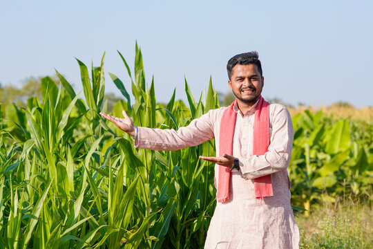 young indian farmer standing at green corn field