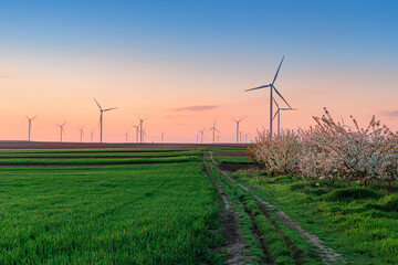 Obraz premium Wind turbines standing on a green field at sunset, symbolizing sustainable technology and clean power production for the environment