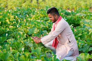 young indian farmer sitting at green agricultural field © PRASANNAPIX