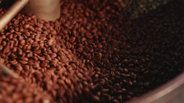 Close up of roasted coffee beans rotating in cooling tray