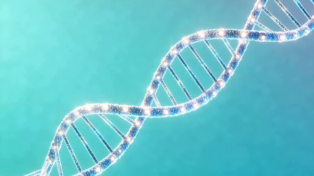 DNA double helix structure