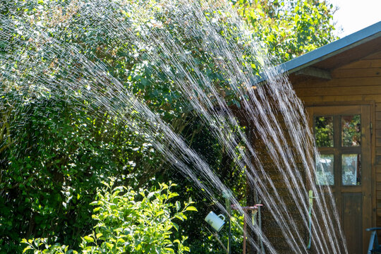 Watering flowers in the garden