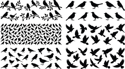 Fototapeta premium Collection of Bird Silhouette Vectors with Flying Perched and Standing Songbird Isolated Design Elements