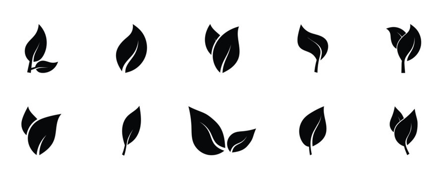 branding logo and doctors use this sign for health and wellness. Healthy leaf icon isolated on white background. Vector art illustration.