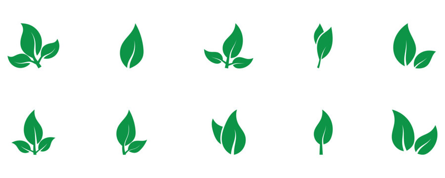 Natural green leaf design elements. Eco friendly leaf logo for organic food, recyclable items, and cruelty-free goods. Vector illustration.