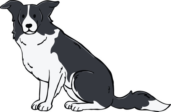 Adorable Border Collie dog illustration in a sitting side-view pose. Ideal for stickers, design elements, and creative projects