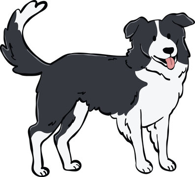 Adorable Border Collie dog illustration in a playful pose. Ideal for stickers, design elements, and creative projects