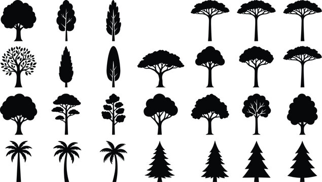 Large collection of black vector tree silhouettes including pine fir cypress tropical palm and deciduous oak forest trees