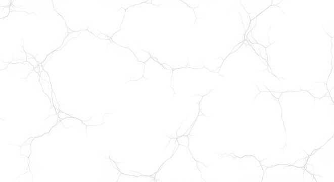 Ethereal monochrome cellular network patterns abstract lines veins branching