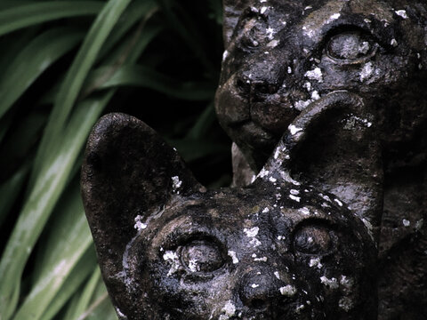 Weathered stone cats looking up in a dark garden