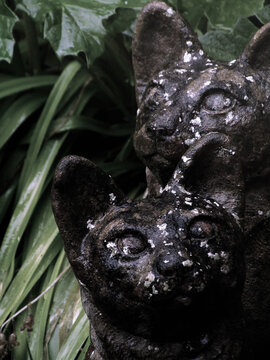 Weathered stone cats looking up in a dark garden