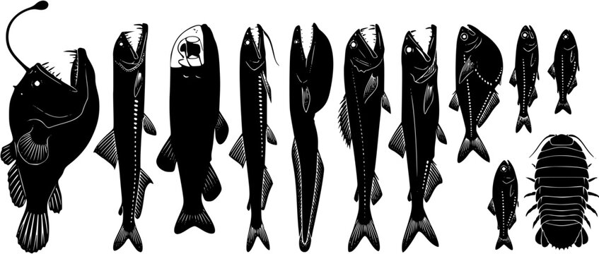 Collection of deep sea fish silhouettes including anglerfish and bioluminescent creatures isolated on white background