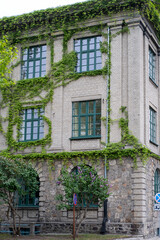 Naklejka premium Corner view of a historic grey brick building with large green windows, creeping ivy, and a rough stone foundation with arched basement windows.