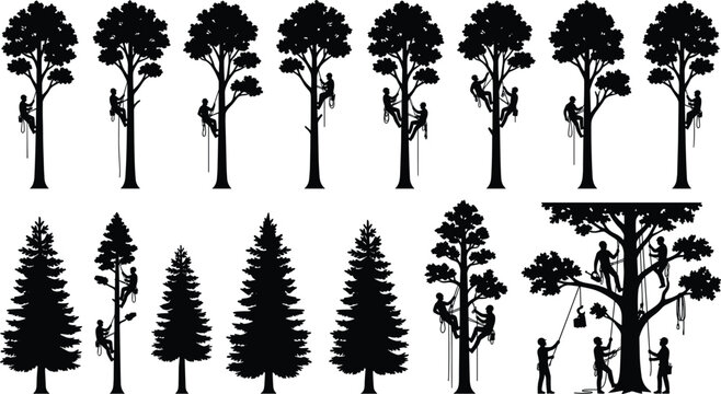 Tree Climber and Arborist Silhouette Collection Featuring Rope Access Workers Forestry and Tree Care Activities