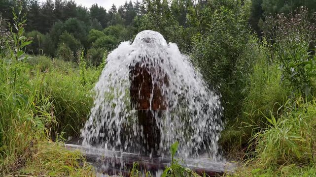 A spring of healing water gushes upward from the ground