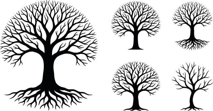 Bare tree of life silhouettes and black graphic design elements set featuring leafless branches, deep roots, winter oak silhouettes, and round botanical family tree vector symbols.