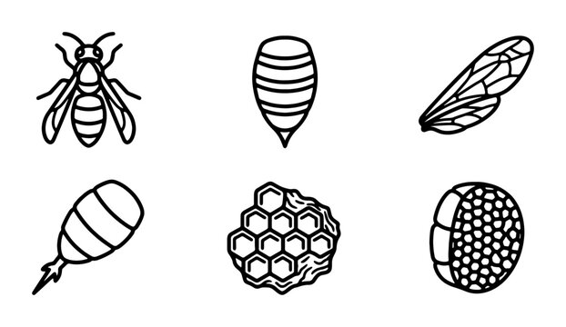 Bee Icons Set, Insect Vector Graphics, Honeycomb Elements, Wing and Eye Illustrations
