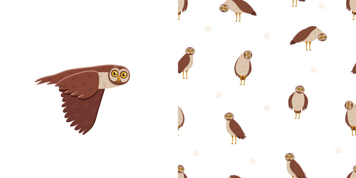 Set of cute cartoon owl and seamless pattern. Vector background illustration of cartoon forest night birds.