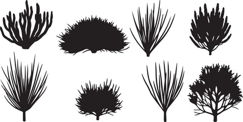 Collection of Silhouette Vector Illustrations of Various Desert Plants and Bushes © Nayem