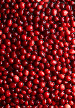 Full-frame background of fresh glossy cranberries.