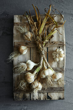 Freshly harvested garlic bulbs with roots on a rustic wooden crate.