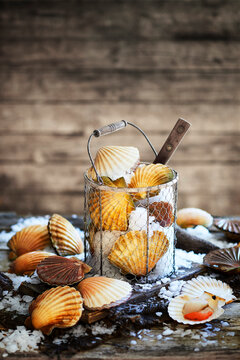 Scallop shells in rustic basket on ice