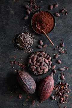 Top view of cocoa beans, cocoa powder, and cocoa nibs arranged on a dark textured background.