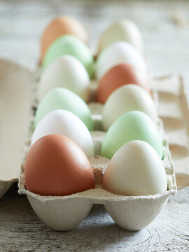 Mixed farm eggs in a recycled cardboard egg carton with natural shell colors