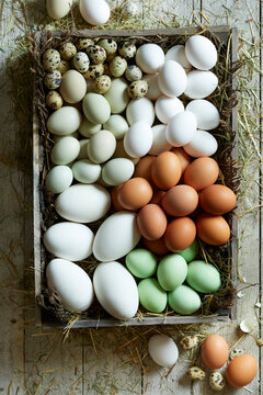 Assorted farm-fresh chicken and quail eggs arranged in a rustic wooden crate with straw, photographed from above