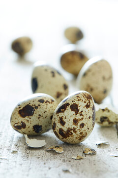 Close-up of fresh quail eggs with broken eggshell fragments on a rustic wooden surface, highlighting the natural speckled patterns, delicate shell texture, and organic food preparation atmosphere