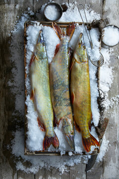 Three whole fresh pike displayed on crushed ice in a rustic wooden crate, photographed from above