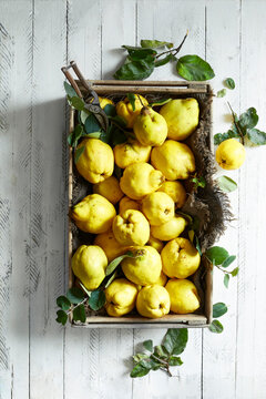 Freshly harvested quinces arranged in a rustic wooden crate with green leaves and garden shears on a white wooden surface, photographed from above in natural light