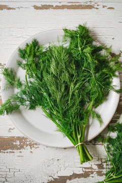 Hand picked Dill on a plate