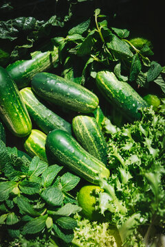Cucumbers and green vegetables, freshly picked