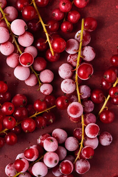 Frozen redcurrants on red background