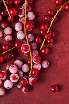Frozen redcurrants on red background