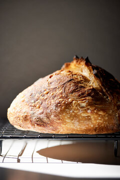 A sourdough loaf on a cooling rack
