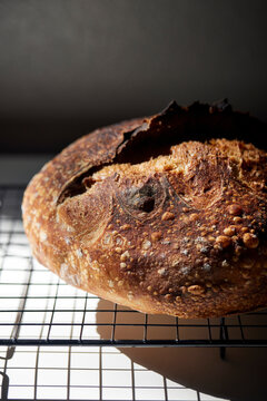 A sourdough loaf on a cooling rack