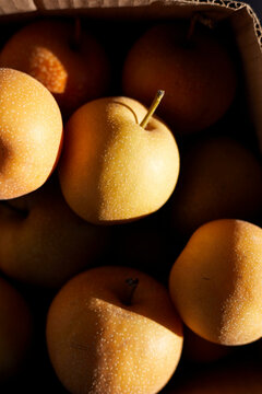 Asian Pears in a Box with Warm Evening Lighting