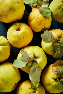 Quince Fruit on a Blue Background