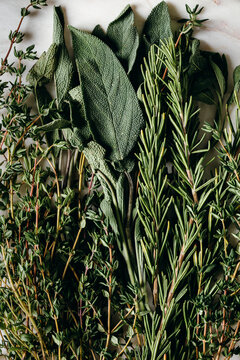 Fresh sage, thyme, and rosemary gathered in a herbal bundle.
