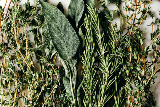 Fresh sage, thyme, and rosemary gathered in a herbal bundle.