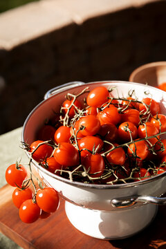 Fresh grape tomatoes on the vine in a colander outdoors