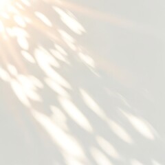Fototapeta premium Abstract light overlay with soft sunbeams and shadows on a neutral wall